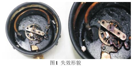 壓力表失效形貌