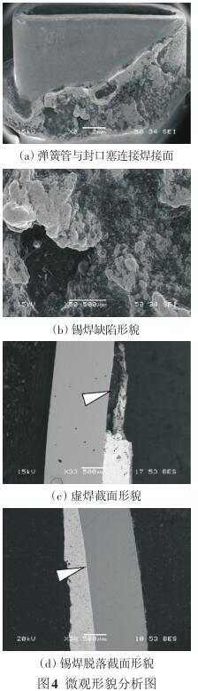 微觀形貌分析圖